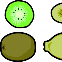 キュウイのイラスト