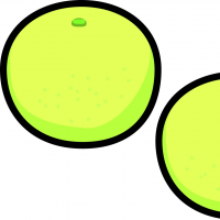 グレープフルーツのイラスト