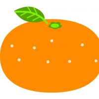 葉っぱ付のみかんと半分に切ったみかんのイラスト