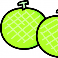 メロンが2つ並んでいるイラスト