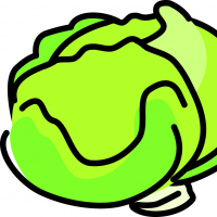 レタスのイラスト