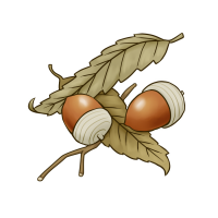 どんぐりのイラスト